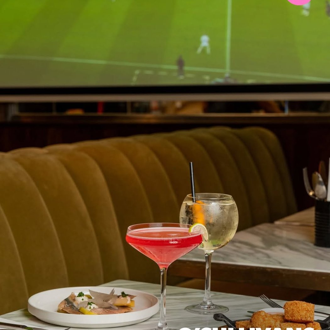 Super Bowl Viewing 1