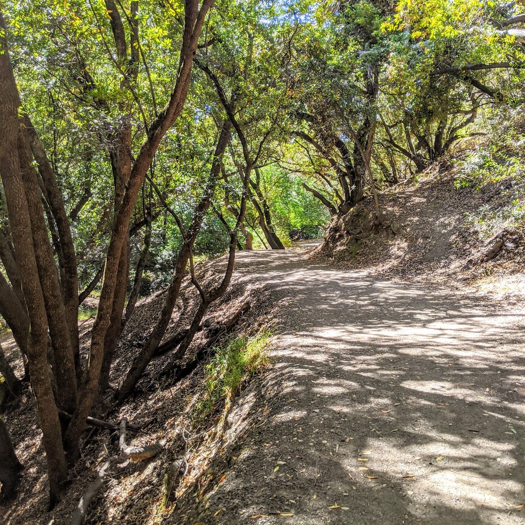 Greenbelt Trails Hiking and Horseback Riding 1