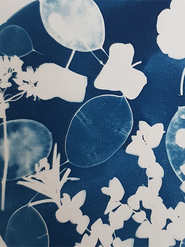 Atelier cyanotype avec l'Atelier Moëli 1