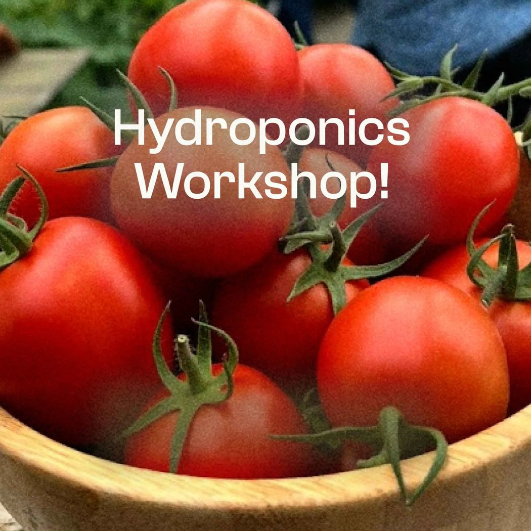 UrbanGro Hydroponics 101 1