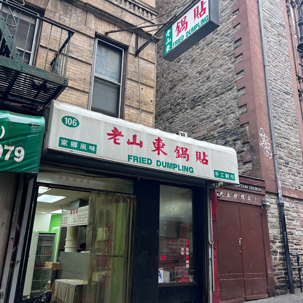Fried Dumpling 5