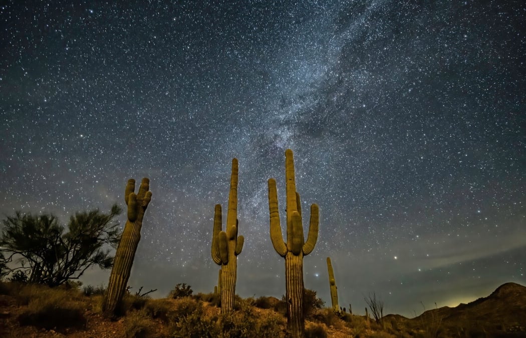 Taste the Desert 2