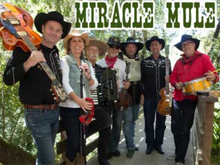 MIRACLE MULE