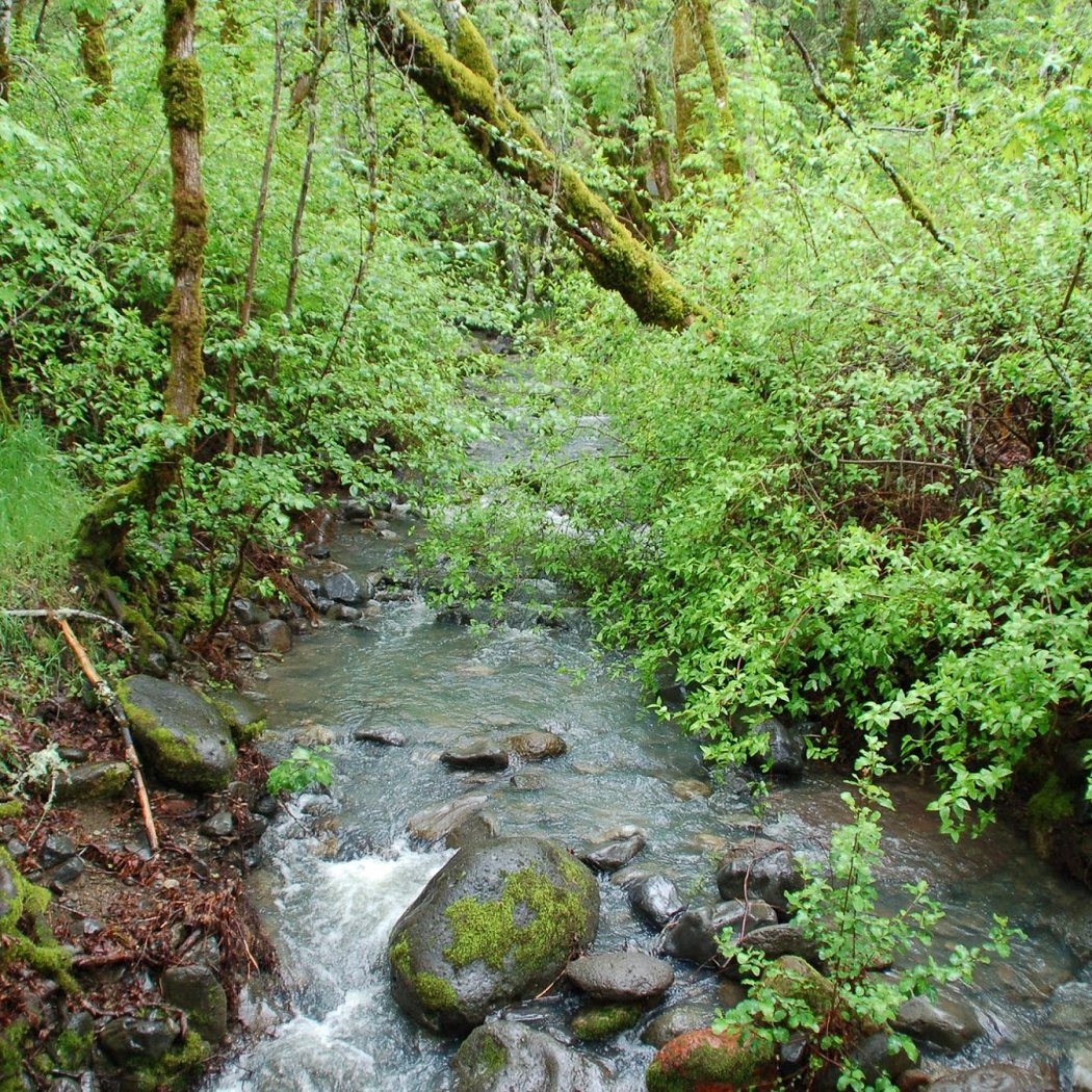 NVSP Saturday Guided EcoFitness Hikes 3