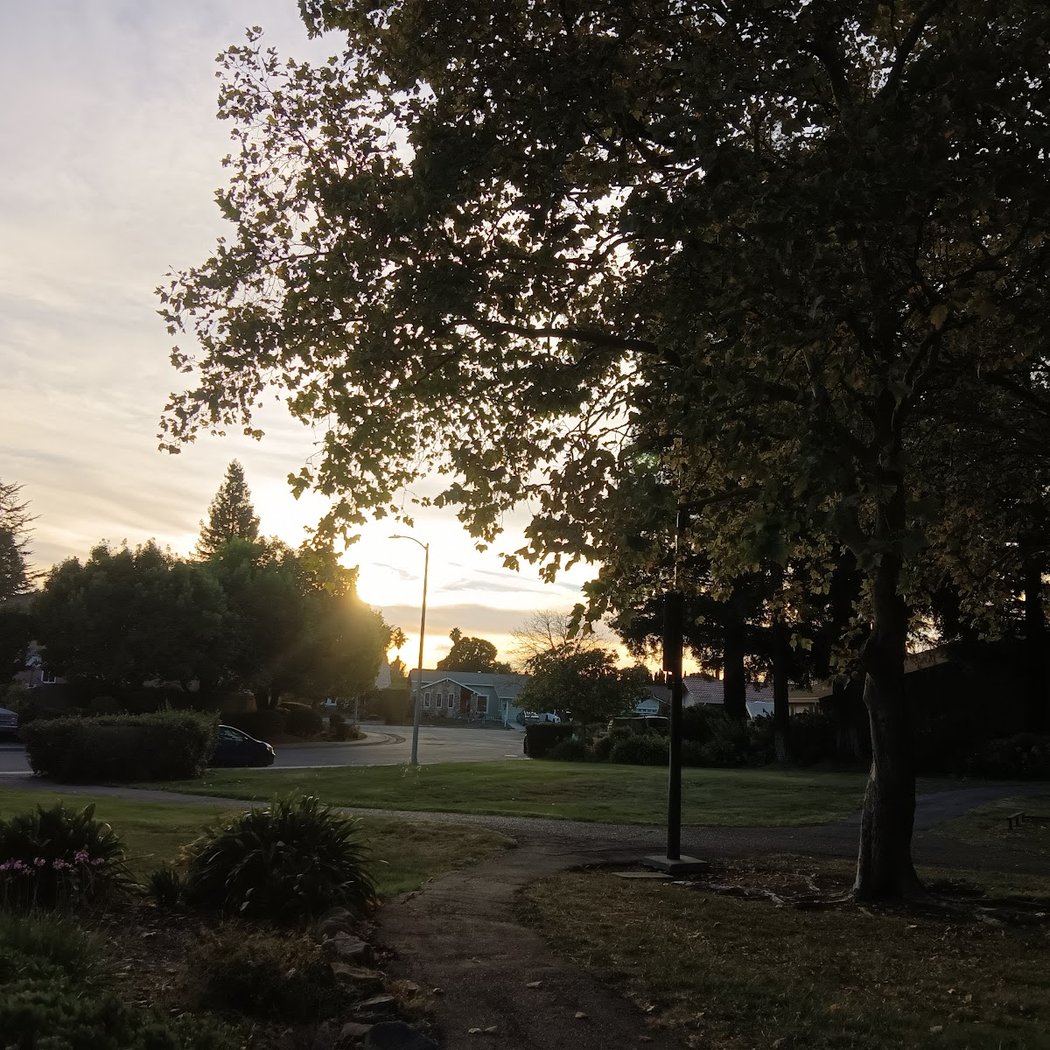 Dorotea Park 3