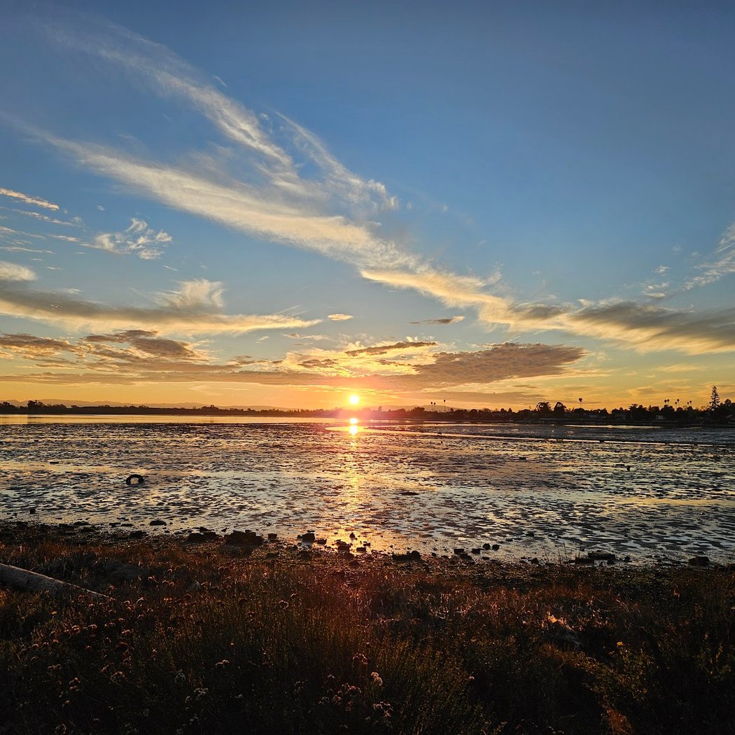 Martin Luther King Jr. Regional Shoreline 1