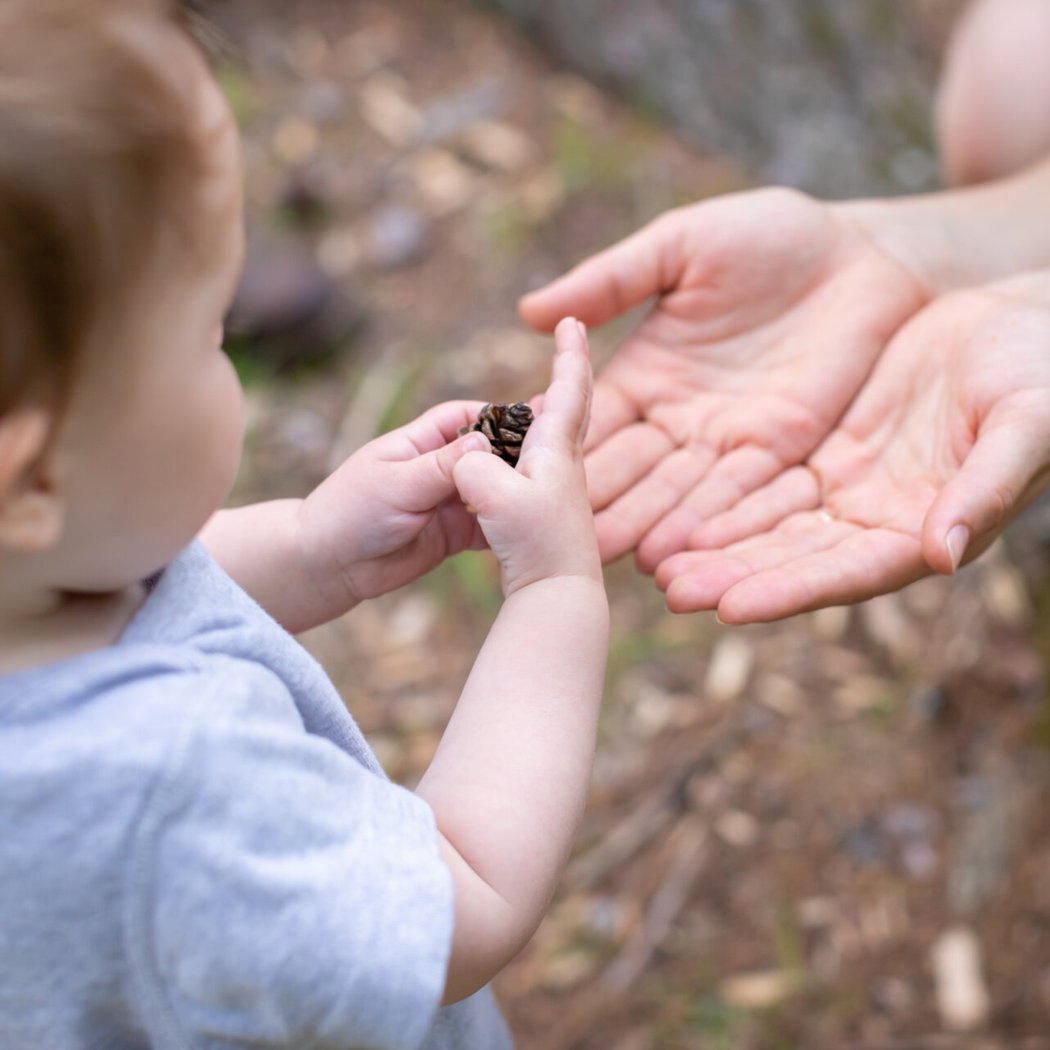 Little Naturalists 1