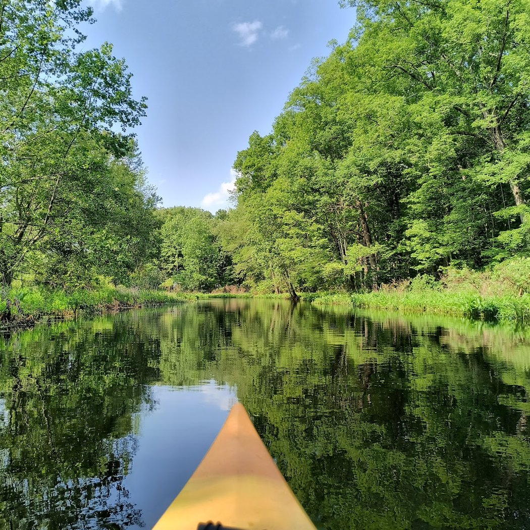 Bashakill Wildlife Management Area 1