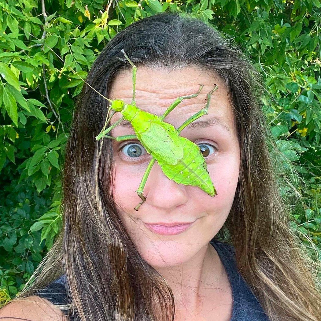 Bugs on Wheels with The Bug Lady 3