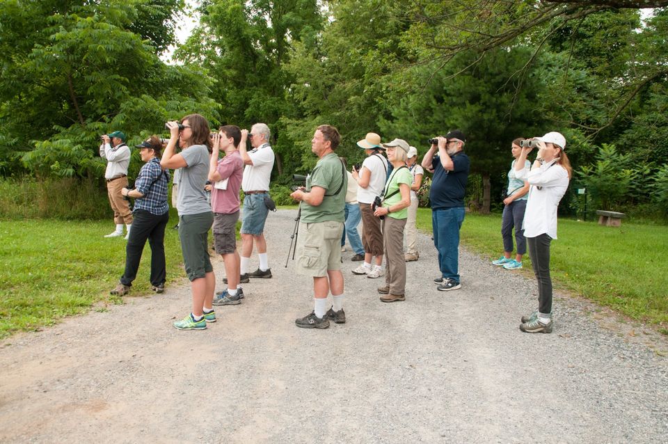 Saturday Morning Birding