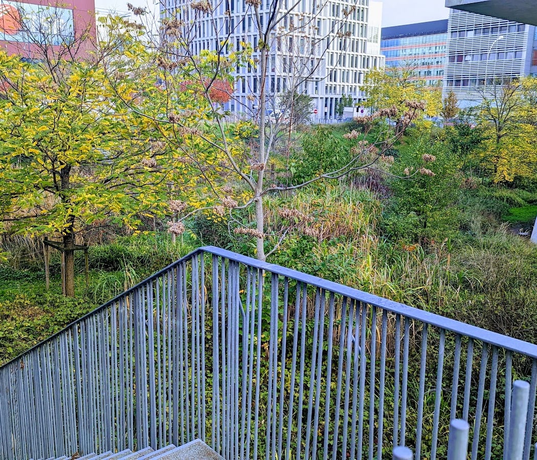 Visite de la MSH Paris Nord, de son magnifique jardin 4