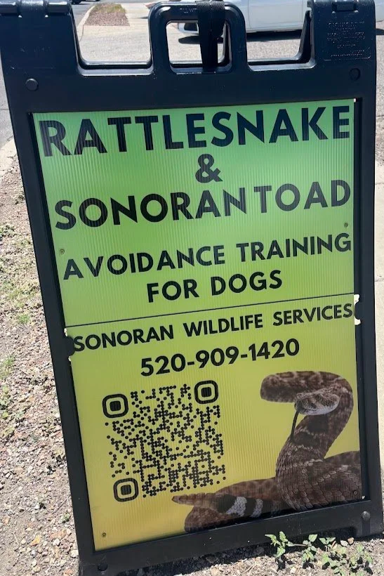 Rattlesnake & Toad Avoidance Training 2