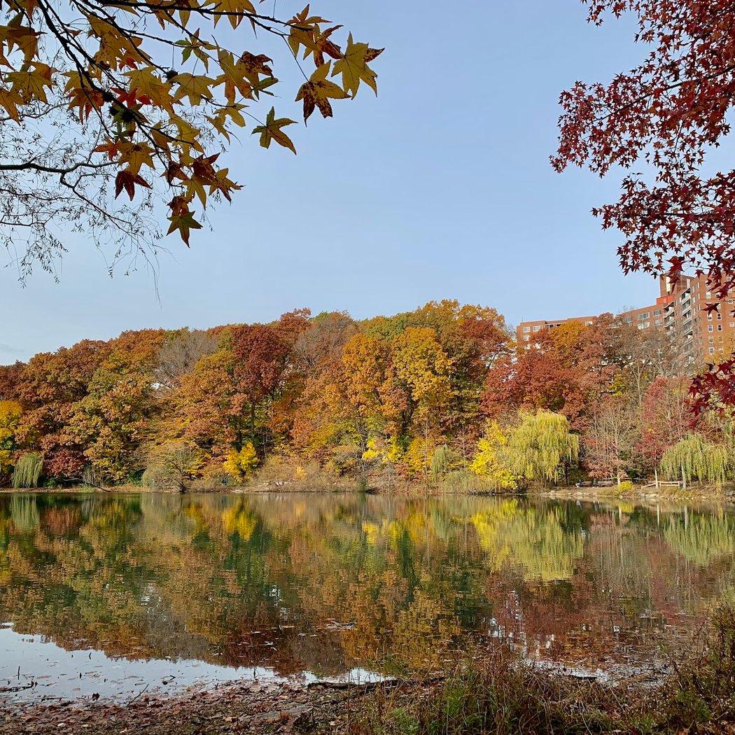 Oakland Lake 1
