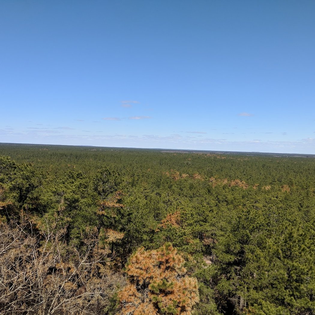Apple Pie Hill 2