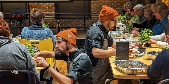 Bonsai Bar Workshop 1