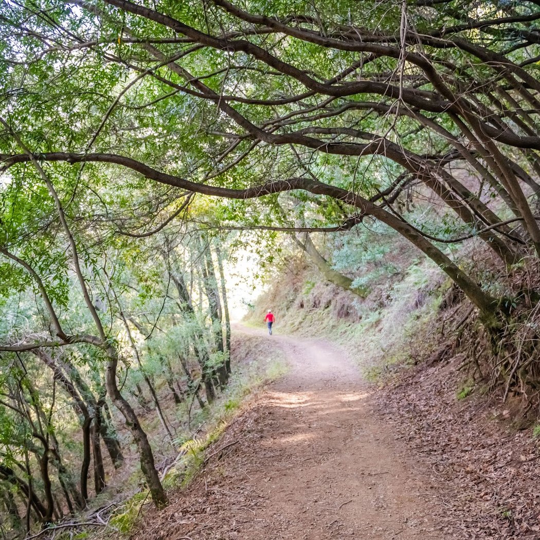 Limekiln Trail, Los Gatos CA 1