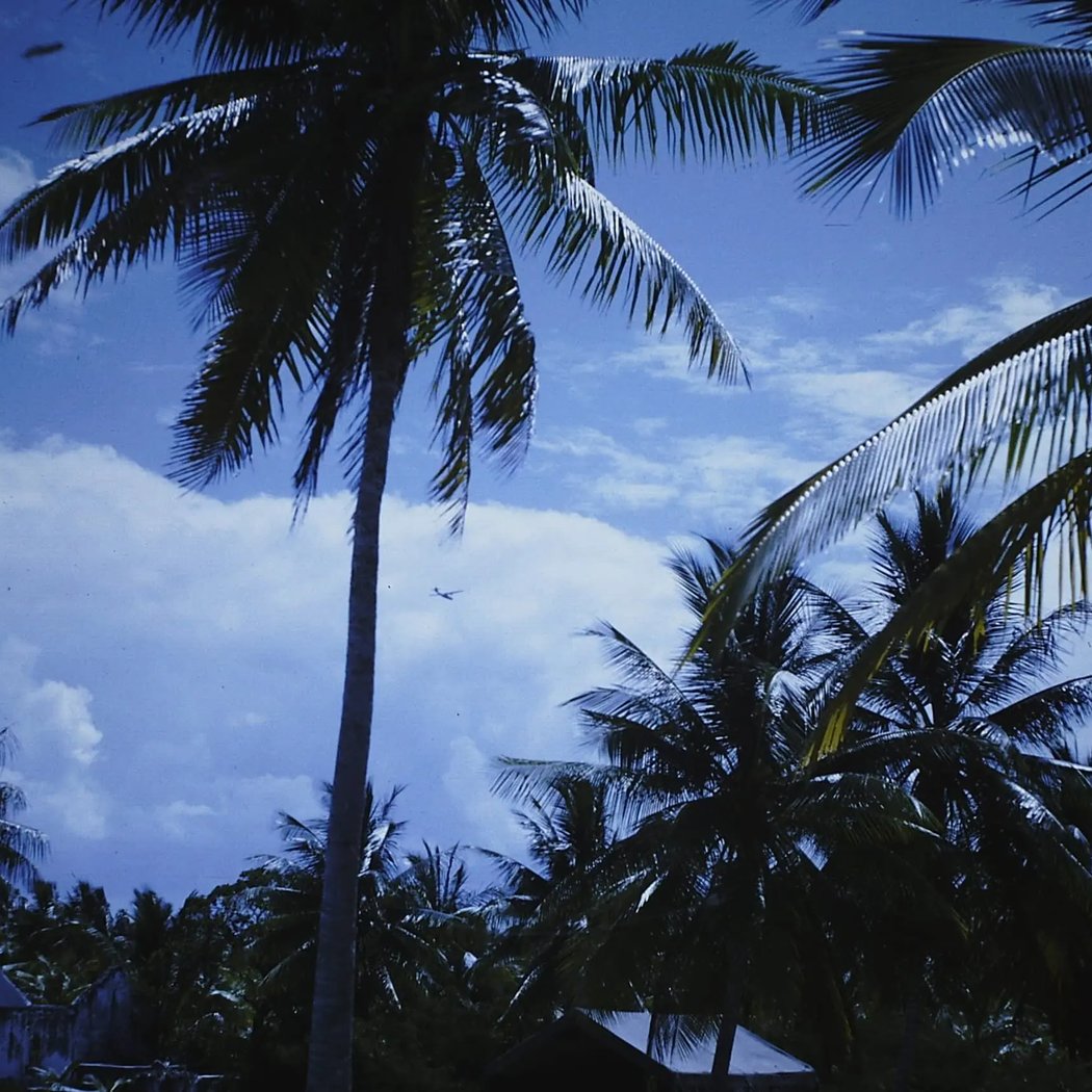 Polynesia 66, carnet de constellations de Véronique Caye 2
