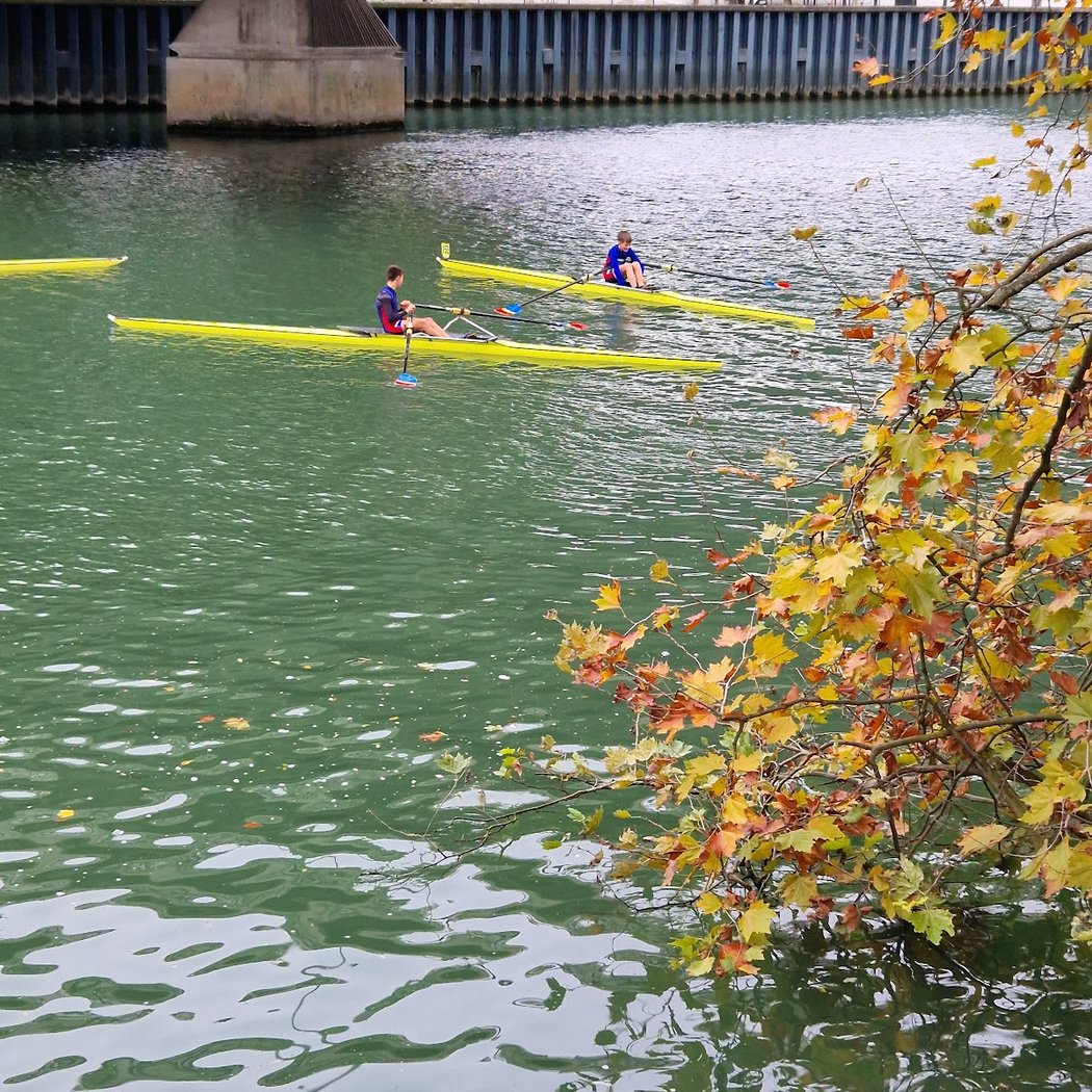Rowing Marne and Joinville 1