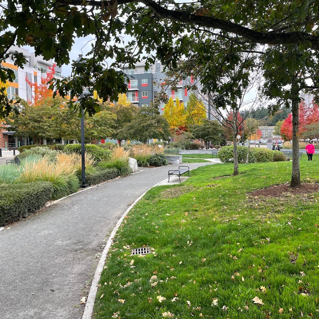 Town Square Park 3