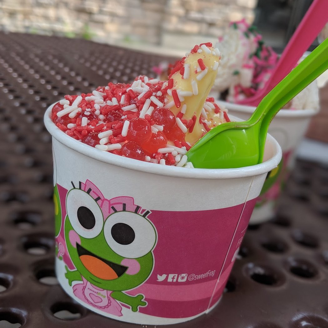 Sweet Frog Poughkeepsie 1