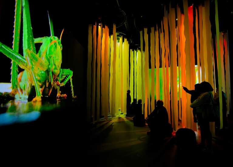 Vivid: Immerse Your Senses 1
