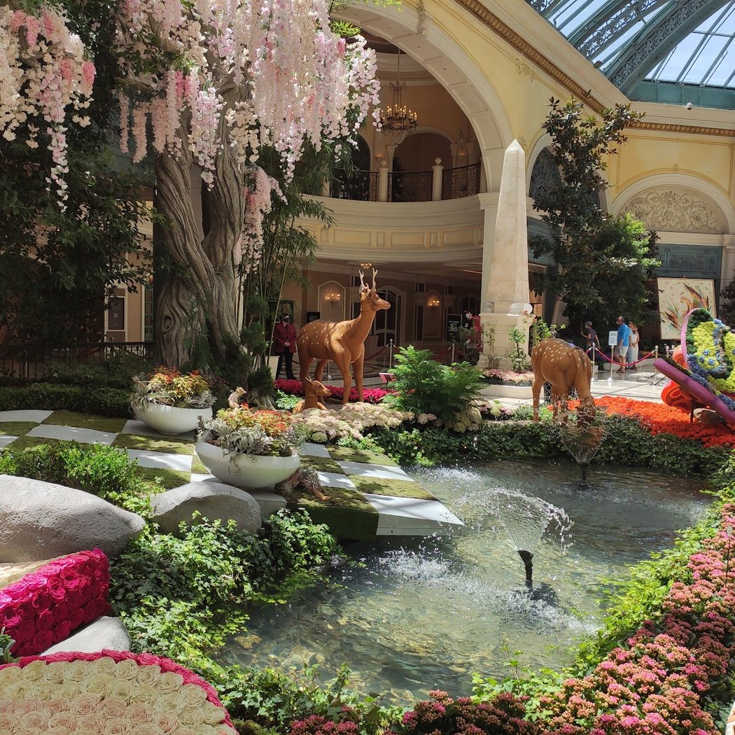 Bellagio Conservatory & Botanical Gardens 3