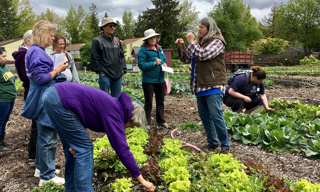 GrassRoots Garden Volunteer Session 2