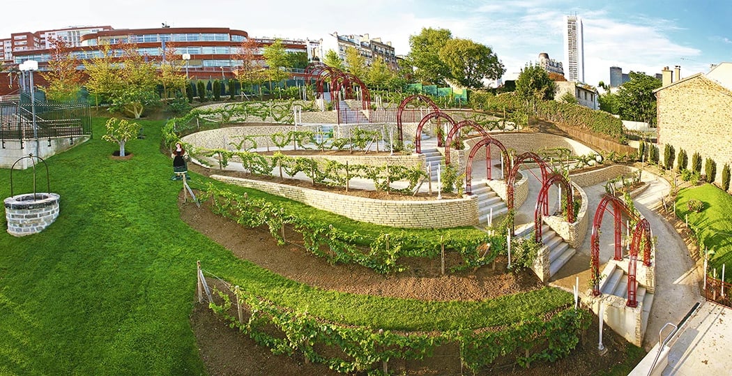 vignes Garden 1
