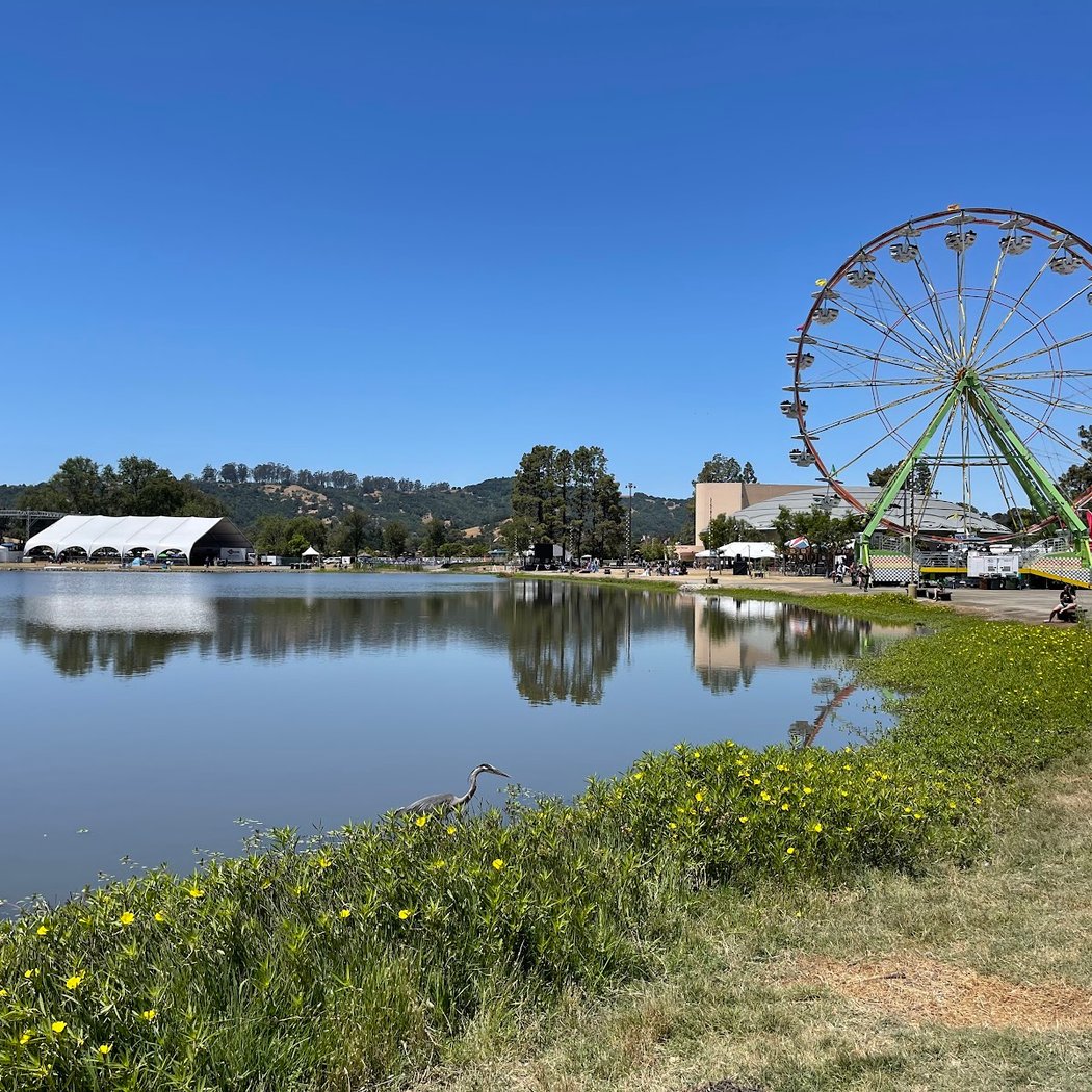 Marin Irish Festival & Ceili on the Lake Championships 3