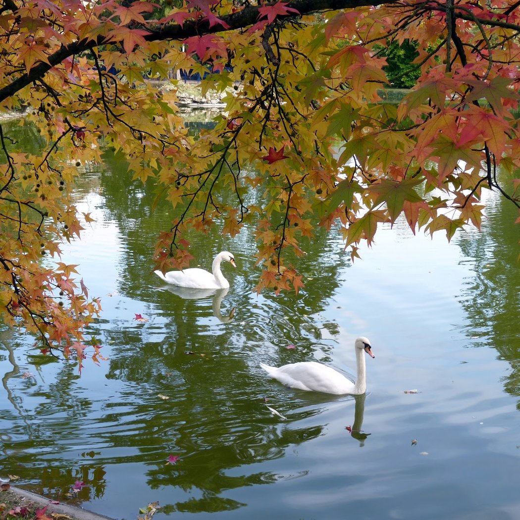 Parc de la Maison Blanche 1