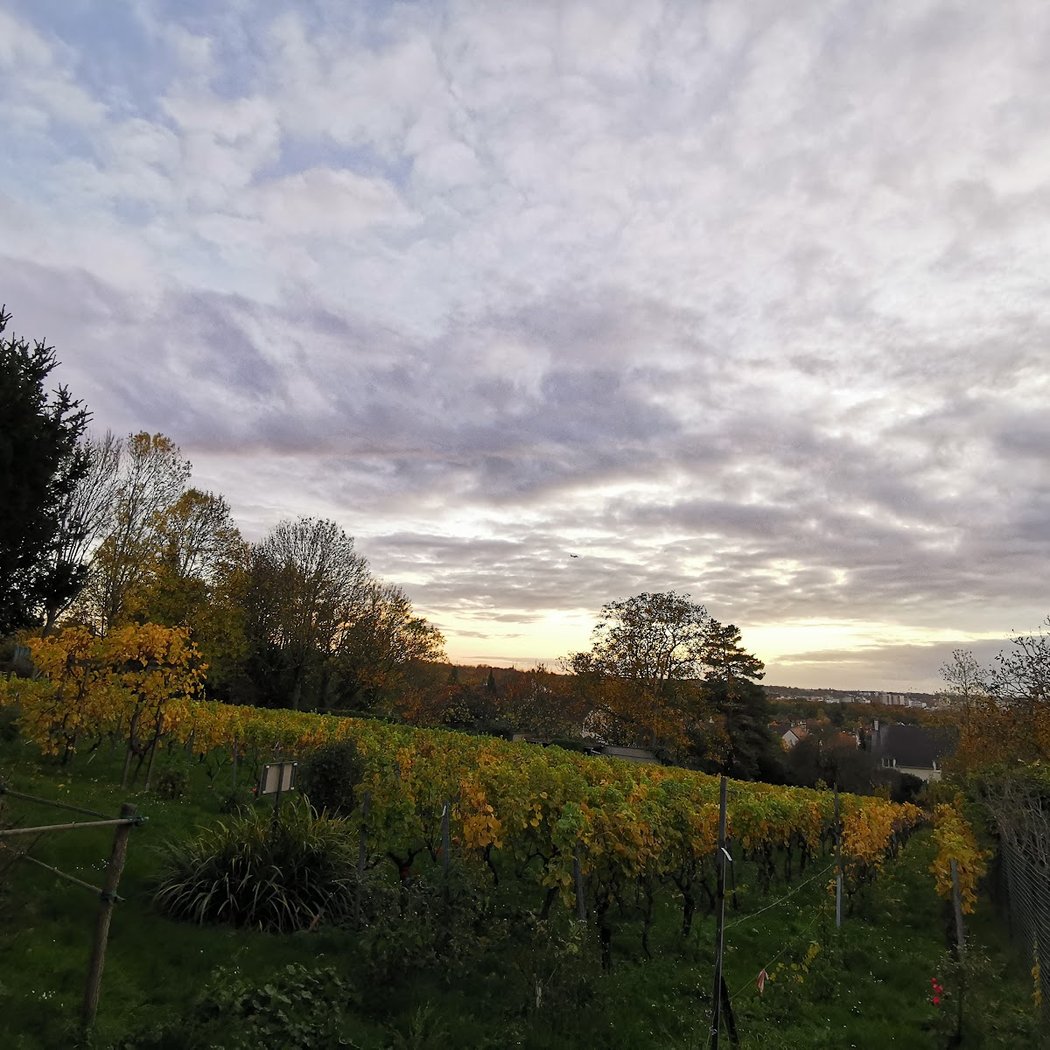 Confrérie des côteaux de Sucy-en-Brie 3
