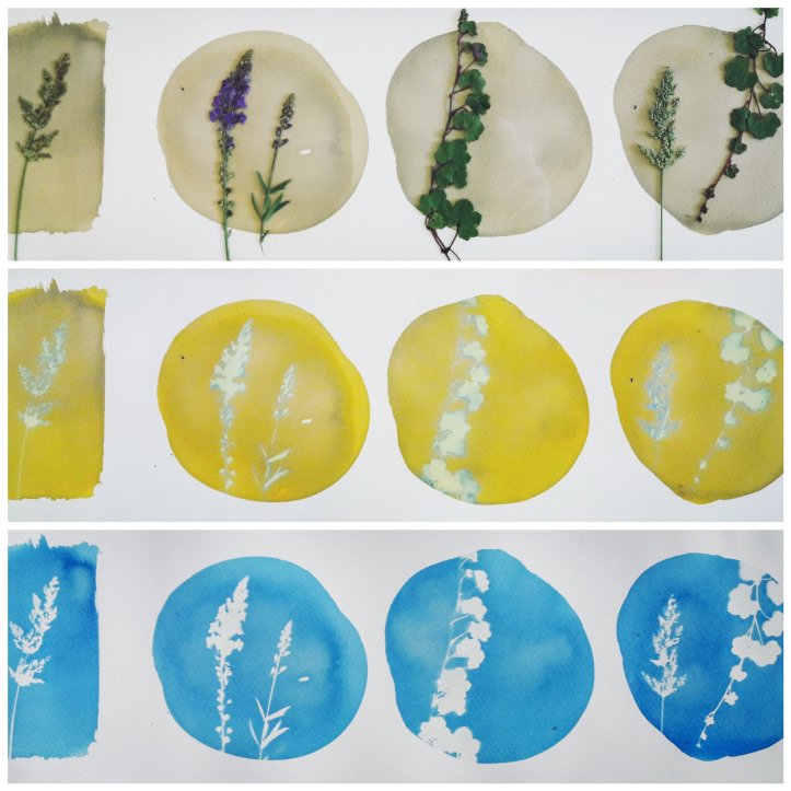 Cyanotype Sunprint Workshop with Marina Dawn Wells, PhD 3