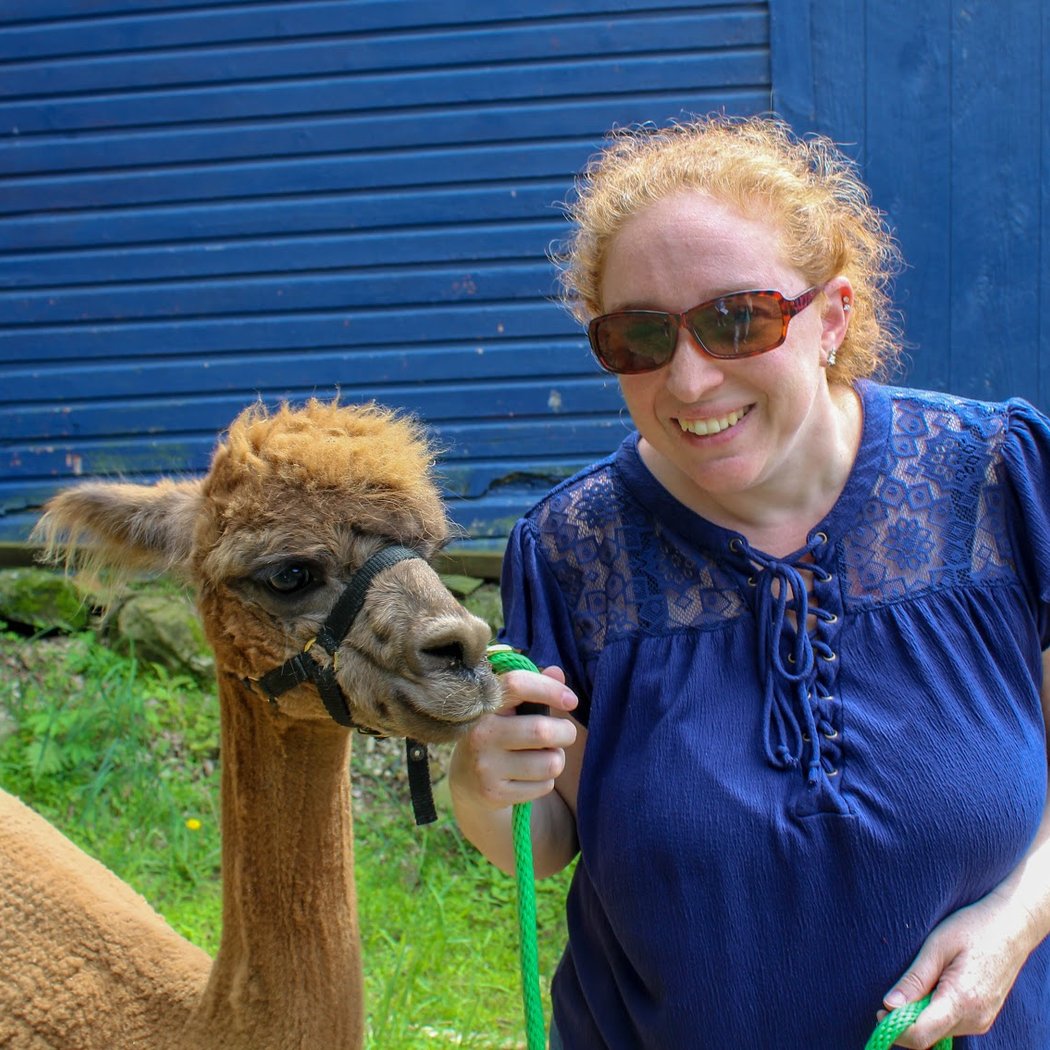 Lilymoore Alpaca and Llama Farm 3