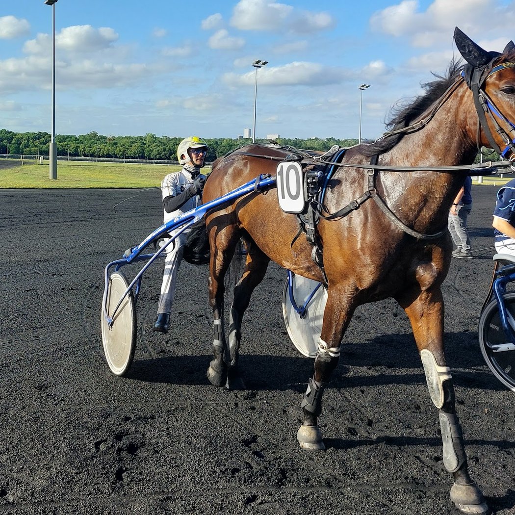 Course de Chevaux Gratuite 3