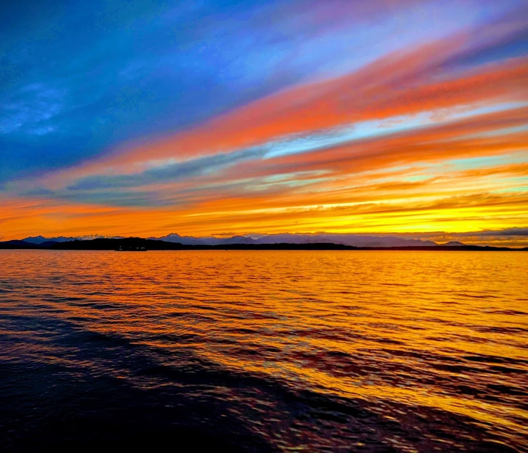 Alki Beach Park 2