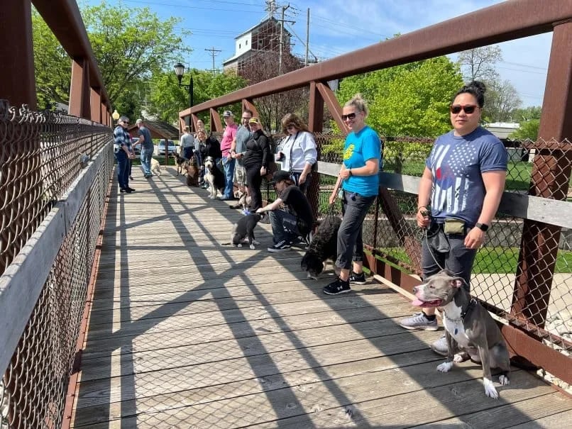 Oswego Group Dog Training 2