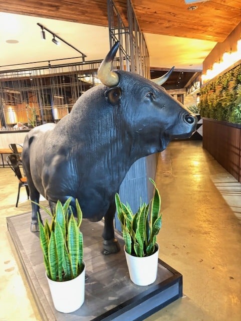 Daikon Korean BBQ 3