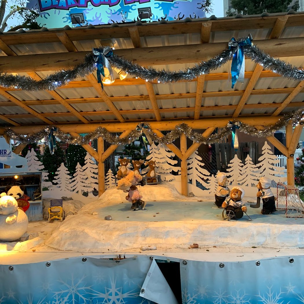 Christmas In The Park 4