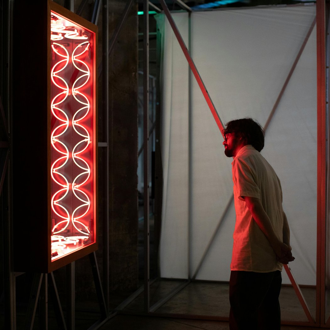 VISITE GUIDÉE DE L'EXPOSITION SIMULACRES 1