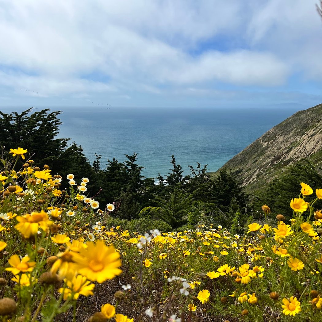 Avalon Canyon 1