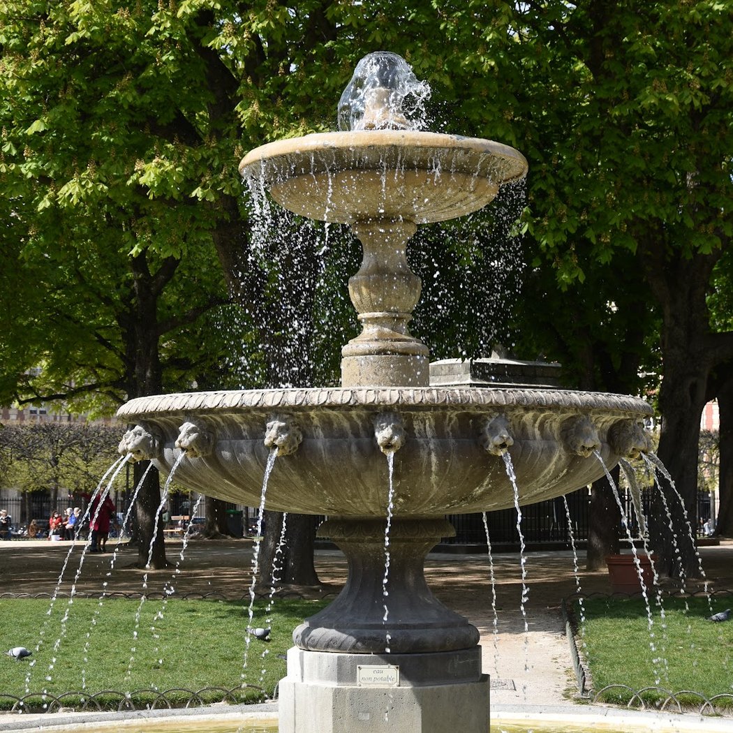 Jardin ouvert la nuit 1