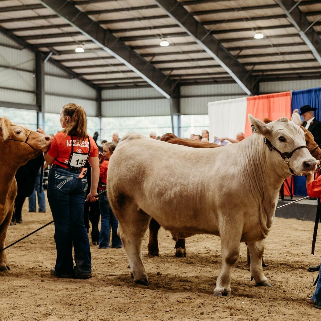Gwinnett County Fair 2026 2