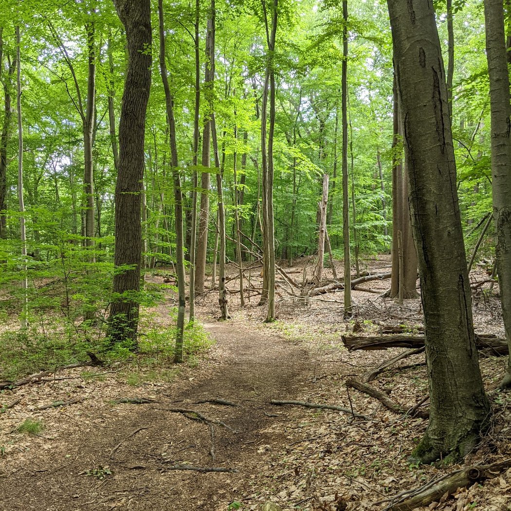 Thompson Park 2