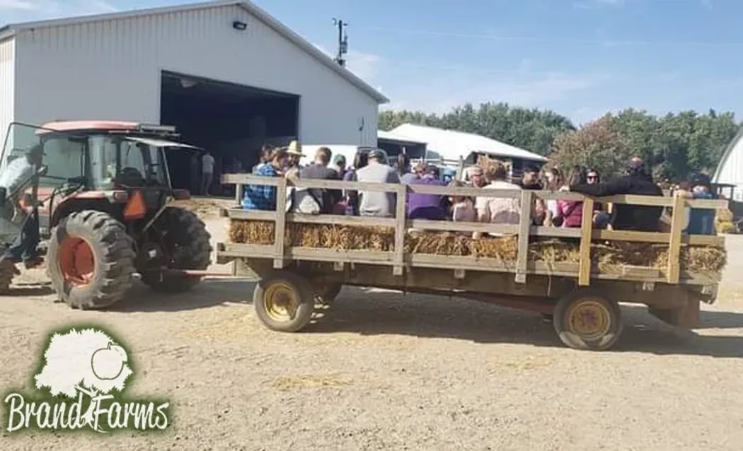 Brand Farms 1