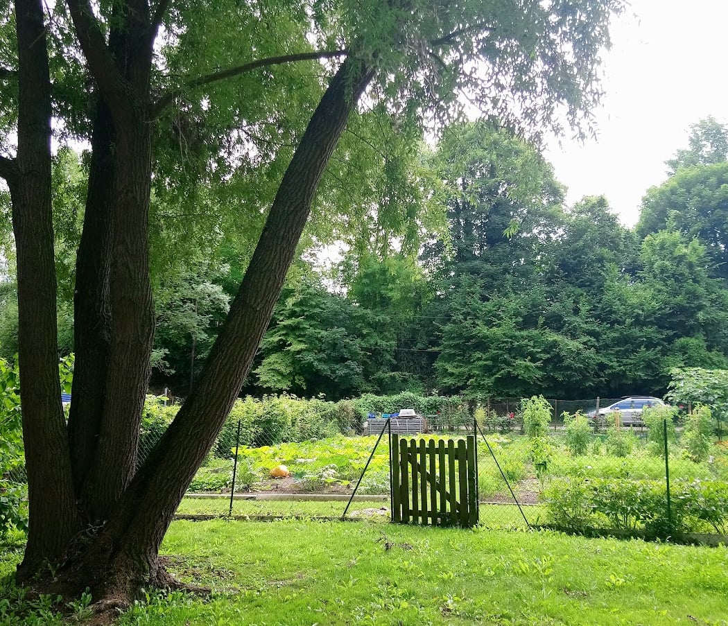 Les Serres de Maubuisson 2