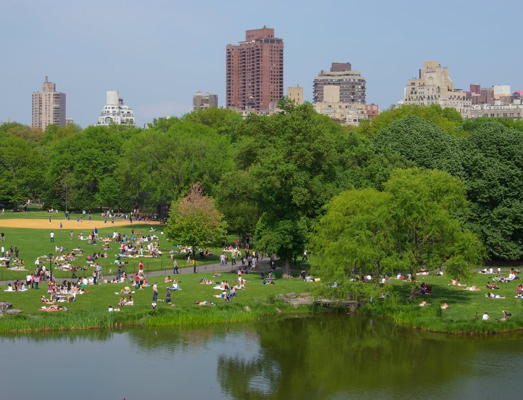 Central Park North 1