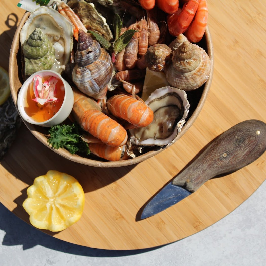DREVICI Oyster 1