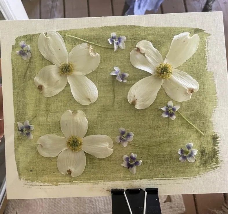 Botanical Cyanotypes 2