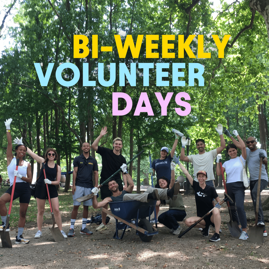 Bi-Weekly Volunteer Days 1