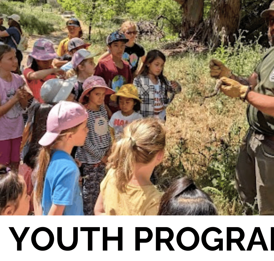 Private Group Programs 1